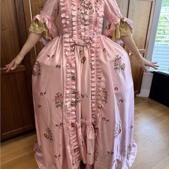 Dresses | Pink Floral Marie Antoinette 18th Century Rococo Ruffled Gown ...